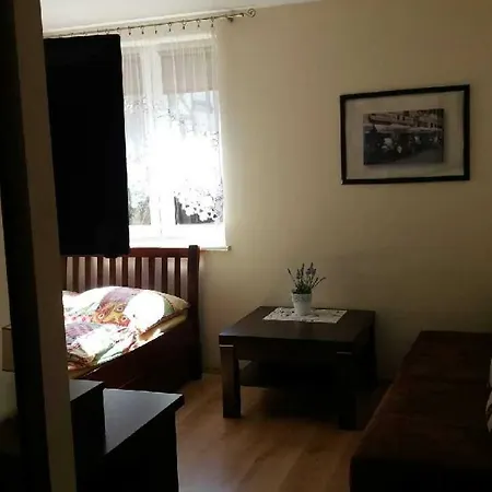 Проживание в семье Plazowa 14 *